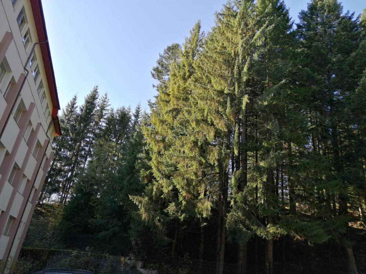 Hostel Cppi Nord Buşteni Eksteriør billede