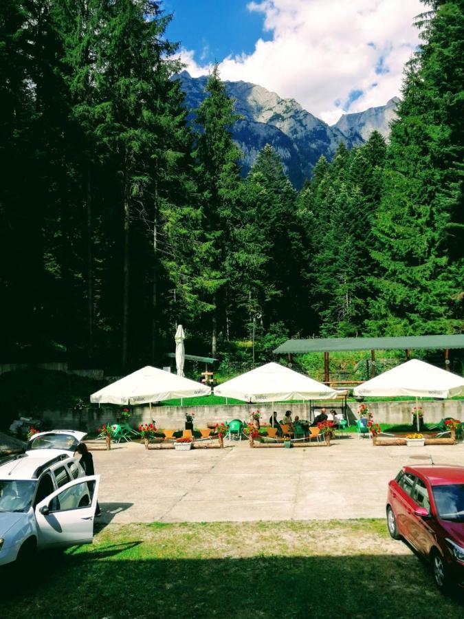 Hostel Cppi Nord Buşteni Eksteriør billede