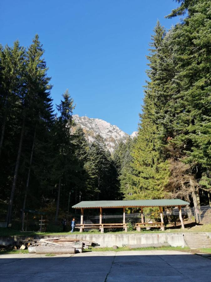 Hostel Cppi Nord Buşteni Eksteriør billede