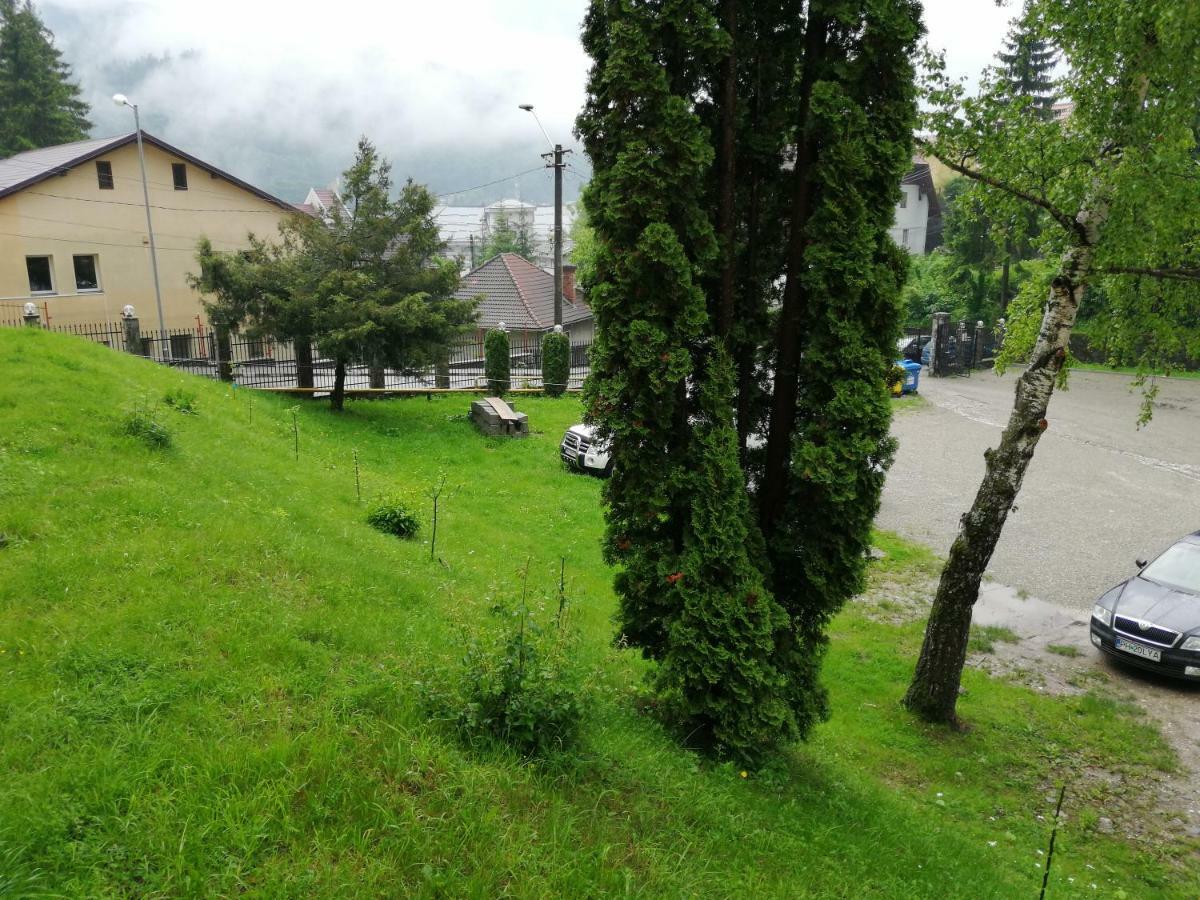 Hostel Cppi Nord Buşteni Eksteriør billede