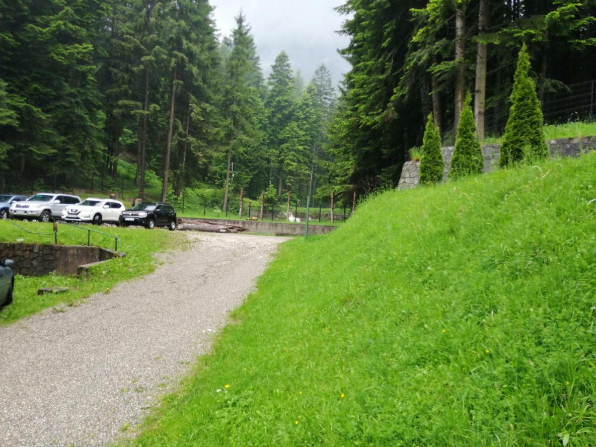 Hostel Cppi Nord Buşteni Eksteriør billede